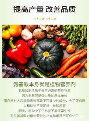 微生物有機(jī)肥與氨基酸肥料的協(xié)同創(chuàng)新 復(fù)合氨基酸原粉、水溶肥及葉面肥的生物有機(jī)肥料研發(fā)