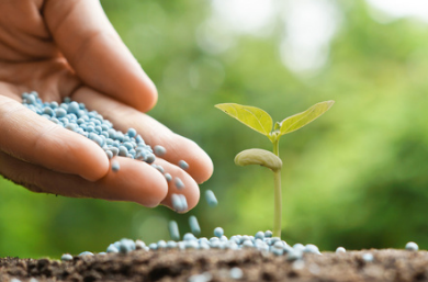 科技賦能綠色農(nóng)業(yè) 山東中新農(nóng)業(yè)發(fā)展的生物有機(jī)肥料研發(fā)探索